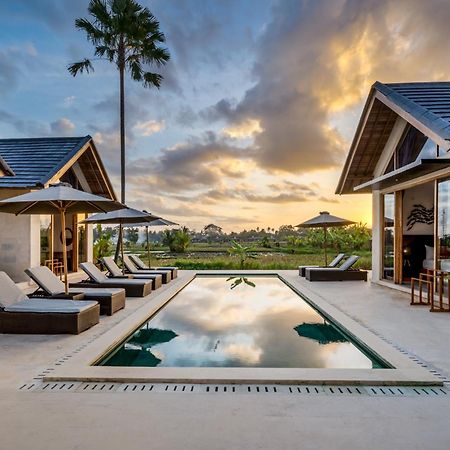 Villa Mango Paradise By Balisuperhost Ubud  Exterior photo
